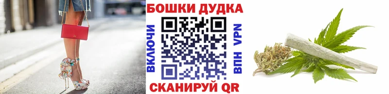 Какие есть наркотики Новошахтинск Канабис  Псилоцибиновые грибы  ссылка на мегу зеркало  КОКАИН  Гашиш 
