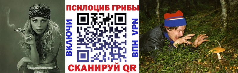 Галлюциногенные грибы ЛСД  наркотики  omg вход  Новошахтинск 